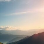 Medicaid and Co-Owned Property: Understanding Estate Recovery Risks